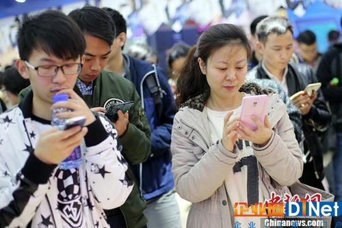 资料图：市民使用手机上网。中新社记者 泱波 摄