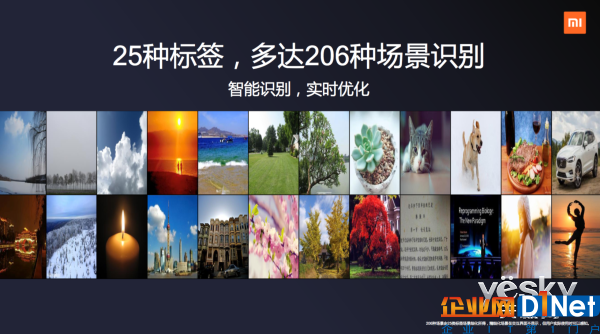 手机离不开人工智能,而人工智能离不开它