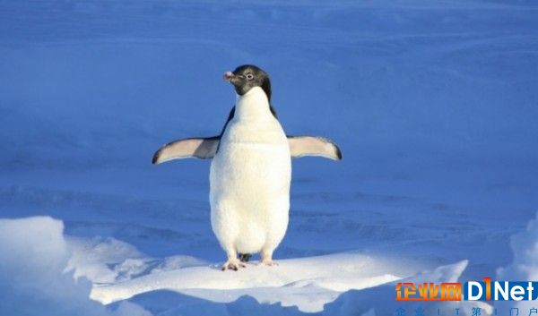 你以为的Linux：官方发名单却被打脸 