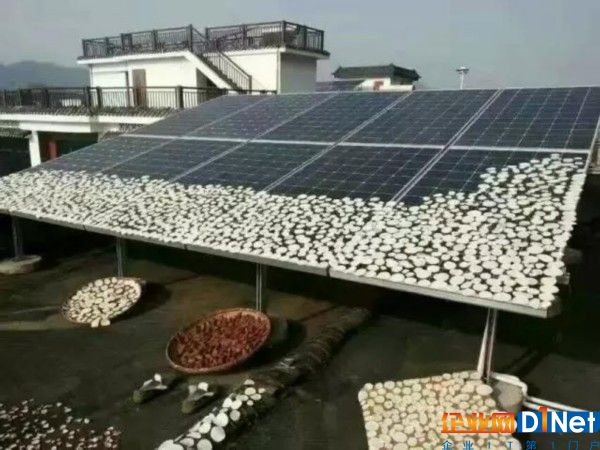 户用光伏市场乱象丛生 恶性竞争影响发展