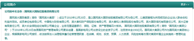 国网英大国际控股集团有限公司网站截图