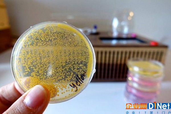 他们可以改变细菌的颜色和气味，甚至能让细菌在黑暗中发光。此外，他们还能购买更昂贵的设备，开展更加丰富多彩的实验。