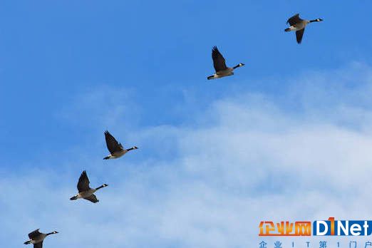 Datrium推出机架级产品扩大策略管理、快照、复制等功能