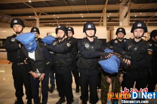 资料图：云南电信诈骗犯罪嫌疑人被抓。钱精明 摄