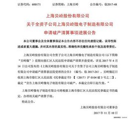 贝岭微电子宣告破产 业务重组或将迅速展开