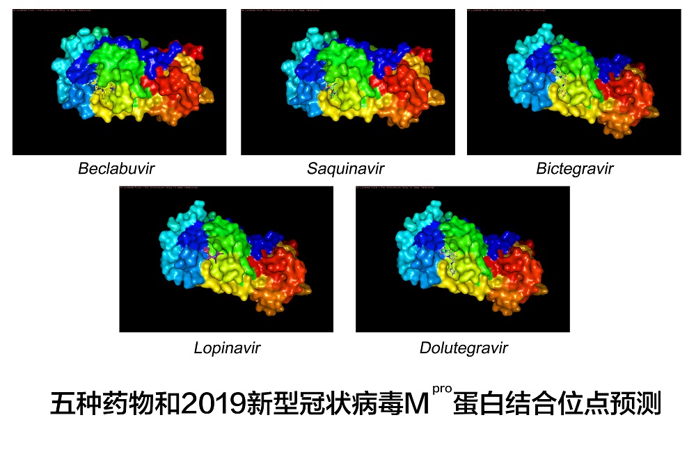 微信图片_20200204151645.jpg