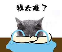 我太难了