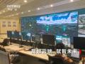 焦点访谈：展翅云端 赋智未来